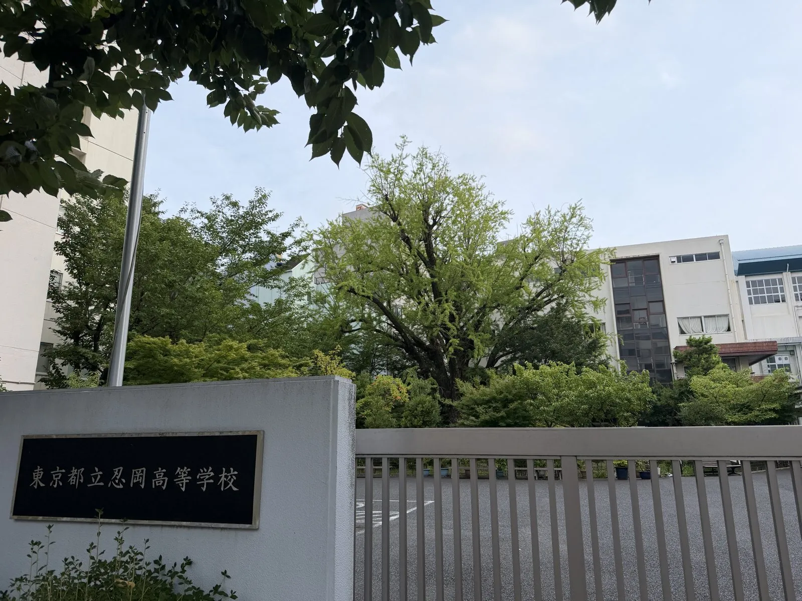 都立忍岡高校の正門。塀の奥に大イチョウの梢が見える