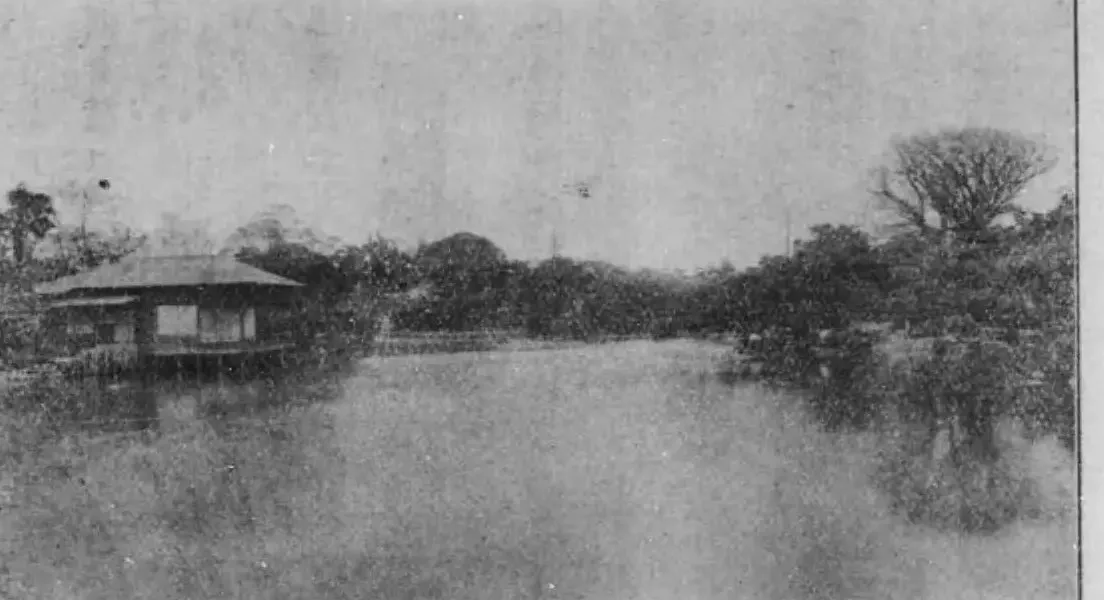 明治・大正期の蓬莱園。水面に張り出した水亭と広い池、対岸の樹林